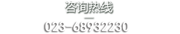 &#38647;&#36895;&#45;&#38647;&#36895;&#65288;&#20013;&#22269;&#65289;